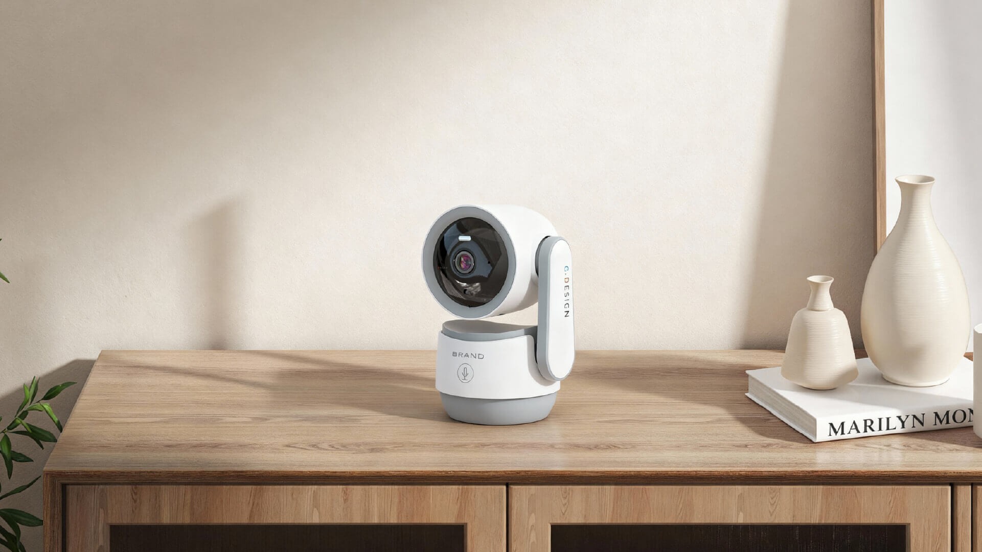 Indoor security camera setup for home protection.