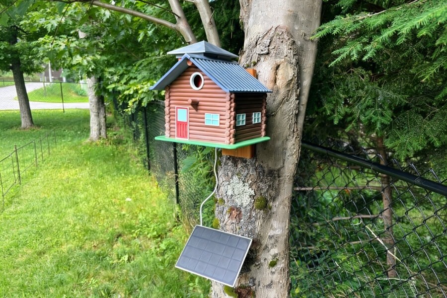perfect bird nest cam setup inside a birdhouse wildlife camera monitoring birds