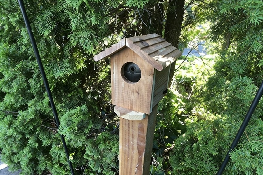 small bird nest camera installed inside birdhouse wildlife observation system