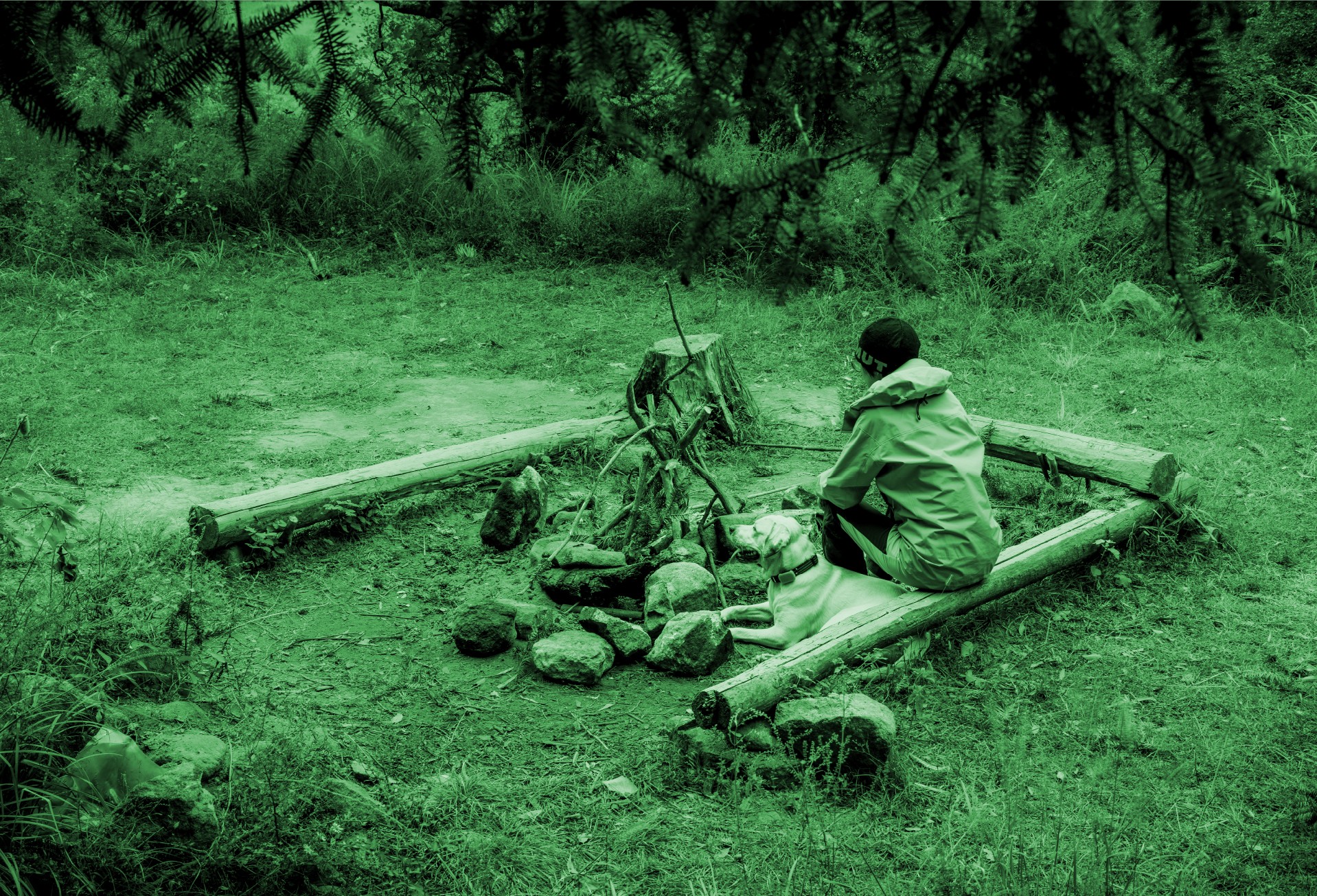  night vision appears green